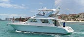 Yacht Sea Ray Charter 55ft 15 pax Playa Mujeres 