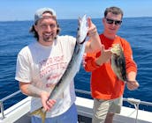 Pesca esportiva em Los Angeles: 1/2 excursões de um dia inteiro, locais e insulares, freelance