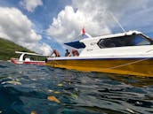 Snorkeling Day Charter in Nusa Penida