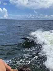 Classic 56' Midnight Lace Luxury Motor Yacht in Cocoa Beach, Florida