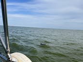 34' Cruiser Sailboat in Clear Lake/Galveston Bay