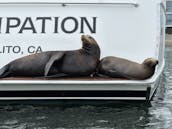 Bateau électrique Duffy de 21 pieds à Marina del Rey, en Californie