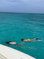 Beach Cruise in Turks & Caicos Islands