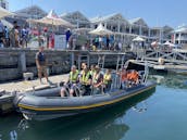 Spectre: RIB for Private Charter hire Cape Town