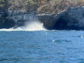 Lovely SeaRay 26 Motor Yacht in Puerto Vallarta