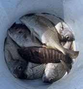 Paseos en barco a Panga en San Juan del Sur