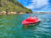 Highlight Tour! 2-Hour Guided Self Drive Boat Tour on Sydney Harbour