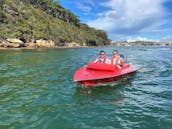 Highlight Tour! 2-Hour Guided Self Drive Boat Tour on Sydney Harbour