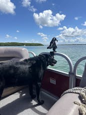 22ft Pontoon Suntracker Party Barge DLX 10 people in Bay Pines. Gas included!