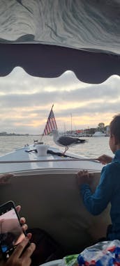 21' Luxury Electric Duffy Boat in Newport Beach