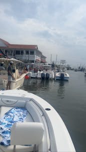 Sea Hunt 22.5ft center console
