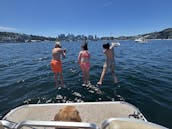 CAPTAIN YOURSELF THIS 12 Passenger 26ft Pontoon Party Barge Awesome Boat!