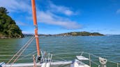 Luxury San Francisco Bay Catamaran: City Views & Magical Evening Sails