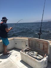 Disfrute de la pesca en la bahía de Antofagasta, Chile, en 36' Sport Fisherman