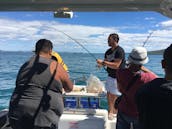 Enjoy Fishing in Auckland, New Zealand on 25' Cuddy Cabin