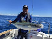 Enjoy Fishing in Auckland, New Zealand on 25' Cuddy Cabin