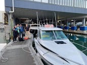 Enjoy Fishing in Auckland, New Zealand on 25' Cuddy Cabin