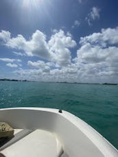 Miami Beach Fun Bayliner ⛵️