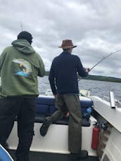 Boat Trips,Pike Trout and Perch Fishing Trips Ballinamore Leitrim , Ireland