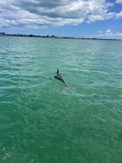 Plongée avec tuba, visite des îles Sandbar, excursions avec des lamantins et des dauphins