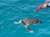 Ride Thrill Seeker 35ft Scarab Off-Shore Powerboat in Barbados