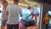 Participez à une séance photo et naviguez autour de Melbourne à bord du catamaran Fountaine Pajot de 35 pieds