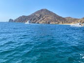 Discover a unique private Catamaran tour at  Cabo San Lucas