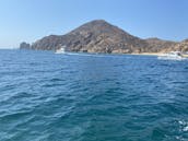 Découvrez une excursion privée unique en catamaran à Cabo San Lucas