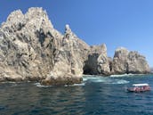 Découvrez une excursion privée unique en catamaran à Cabo San Lucas