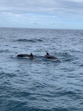 Private 33ft Sea Ray Cruise in Cabo San Lucas