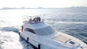 Naviguez sur Amazing Sea Ray (53 pieds) avec un flybridge, parfait pour 22 personnes (min 4 heures)