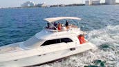 Naviguez sur Amazing Sea Ray (53 pieds) avec un flybridge, parfait pour 22 personnes (min 4 heures)