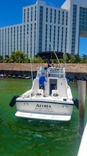 Cancun Fishing Charter if you don't fish you don't pay! Cgarter 31' Bertram Sportfishing Yacht for up to 6 pax