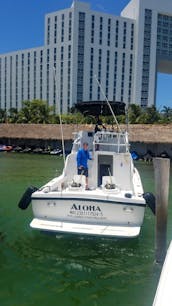 Charter 31' Bertram Sportfishing Yacht for up to 6 pax