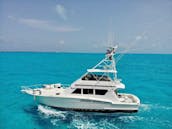 Biggest Private 65ft Hatteras Luxury Yacht up to 28 pax in Cancún, Quintana Roo