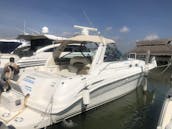 Aluguel de iate particular Sea Ray 410 Express Cruiser para grupos e famílias em Cancún