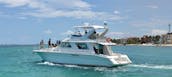 Yacht Sea Ray Charter 55ft 15 pax Playa Mujeres 