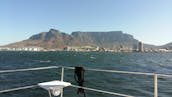 Luxury Catamaran for Private Charter in Cape Town, South Africa