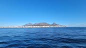 Luxury Catamaran for Private Charter in Cape Town, South Africa