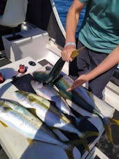 Fishing Charters in Cape Town, Keep It Reel Fishing Charters Western Cape