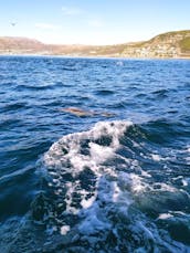 Chartes de pêche au Cap, Chartes de pêche au moulinet au Cap occidental