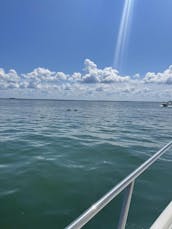 Twin Engine Power Boat VIP Adventure in Sanibel/Captiva & the Barrier Islands