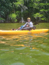 Kayaks Hobie Pedal azules y naranjas en alquiler en el lago Howell