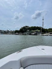 2021 Sea Fox 26ft Offshore Fishing and Cruising Trips in Charleston, South Carolina