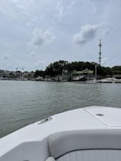 2021 Sea Fox 26ft Cruising Trips in Charleston, South Carolina