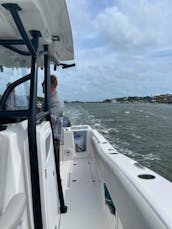 2021 Sea Fox 26ft Offshore Fishing and Cruising Trips in Charleston