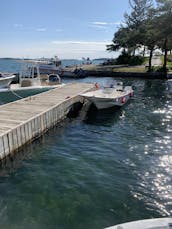 ¡Hermoso y manejable Boston Whaler de 17 pies equipado para el río!