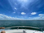 Century 22' Center Console - Clearwater Beach FL - Scenic cruises, dolphin tours, sunsets, fishing and more!