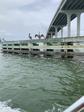 *LO MEJOR DE 2020 Y 21* De isla en isla, crucero por la costa, bombardeo, pesca.