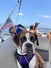 20FT PONTOON IN CLEARWATER ISLAND HOPPING TO POPULAR LOCAL ISLANDS